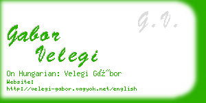 gabor velegi business card